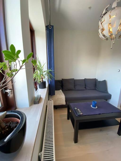 Moderne Leilighet Midt I Sentrum Av Fredrikstad Bagian luar foto